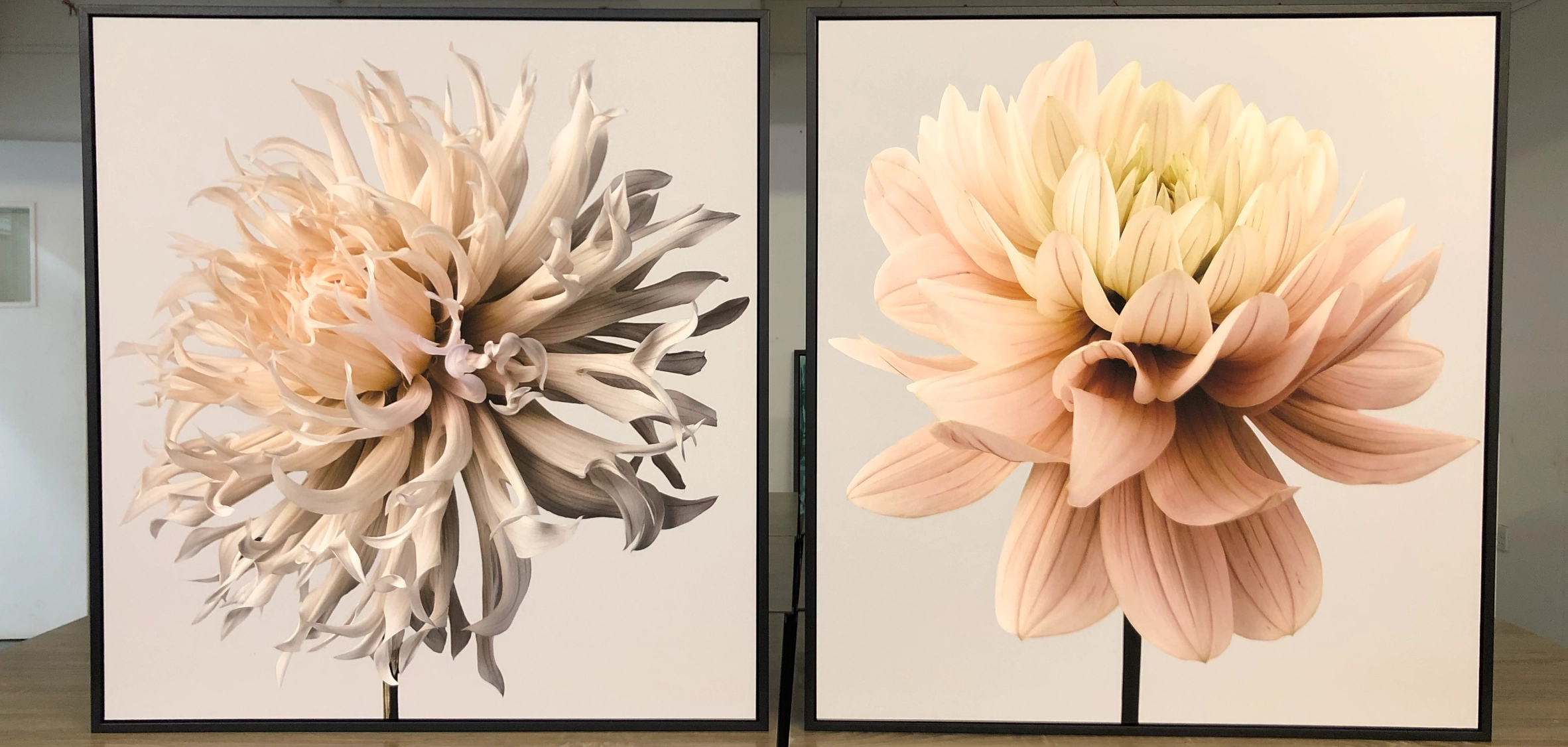 The Framing Art Gallery Picture Framing